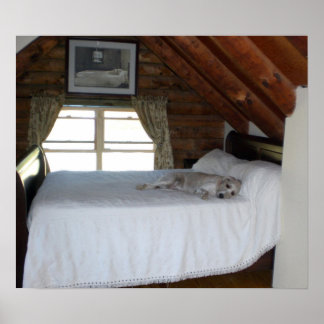 Poster Chambre de maître