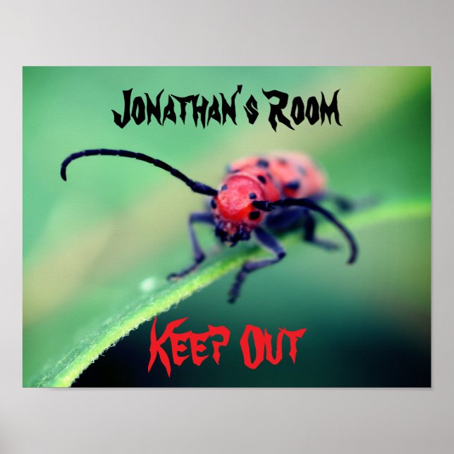 Poster Chambre d'enfants aux insectes effrayants personna (Devant)