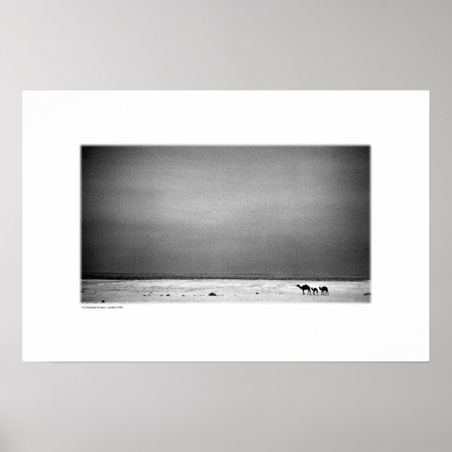 Poster Chameaux dans le désert de Jordanie (B&W) (Devant)