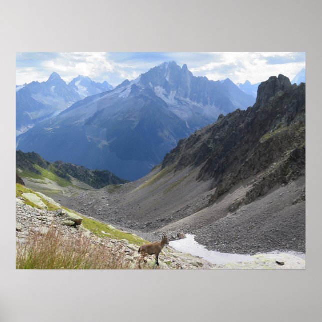 Poster Chamonix Ibex (Devant)