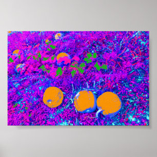 Poster Champ Citrouille purplé dans le style Pop Art