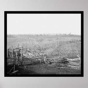 Poster Champ de bataille 1861 de course de Taureau