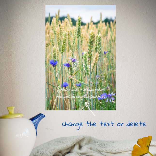 Poster Champ de blé avec fleurs de maïs bleues (Créateur téléchargé)
