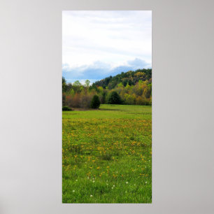 Poster Champ de fleurs