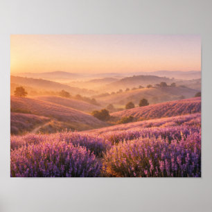 Poster Champ de lavande au lever du soleil Collines ondoy
