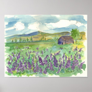 Poster Champ de lupine violette de fleurs aquarelle prair
