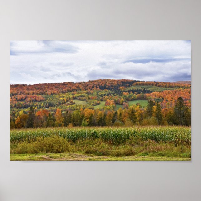 Poster Champ de maïs du Vermont en automne (Devant)