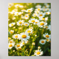 Champ de marguerites ensoleillé Fleurs joyeuses Pr