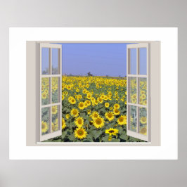 Poster Champ de tournesols vu par une fenêtre ouverte