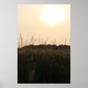 Poster Champ d'été