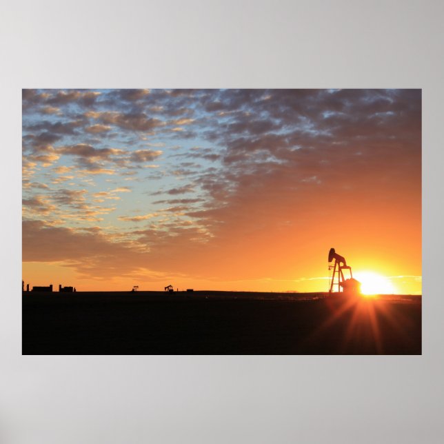Poster Champ D'Huile Au Coucher Du Soleil (Devant)