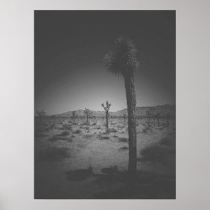 Poster Champ noir et blanc cinématique des Joshua Trees