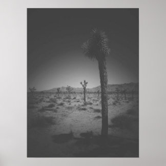 Poster Champ noir et blanc cinématique des Joshua Trees