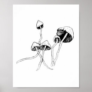 Poster Champignon de Psilocybin