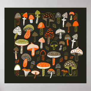 Poster Champignons colorés : Collection de fées