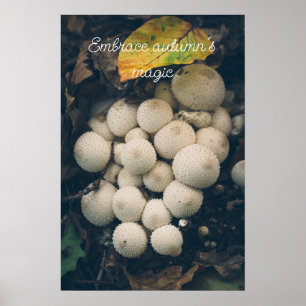 Poster Champignons de la boule blanche parmi les feuilles