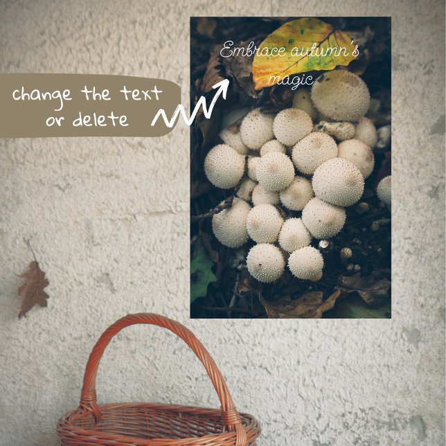 Poster Champignons de la boule blanche parmi les feuilles (Créateur téléchargé)