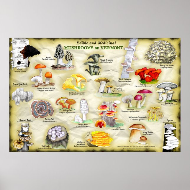 Poster Champignons du Vermont (Devant)