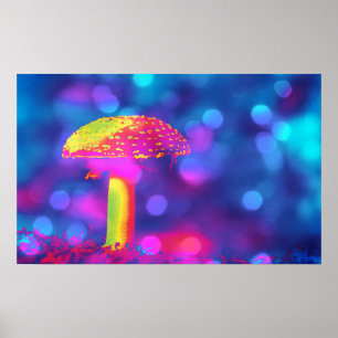 Poster Champignons en lumières