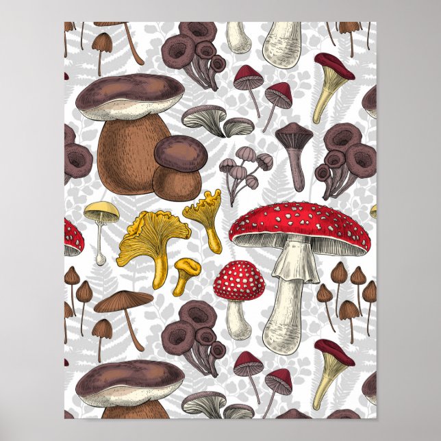 Poster Champignons sauvages (Devant)