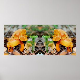 Poster Champignons sauvages d'orange pâle Miroir Abstrait