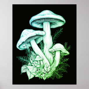 Poster Champignons Verts Translucides Fond Noir Mur