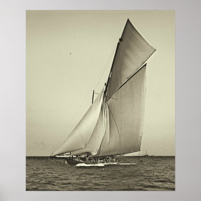 Poster Championnat d'Amérique de Shamrock de yacht 1899 (Devant)