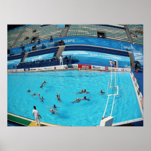 POSTER CHAMPIONNAT ROME 2009 DU MONDE DE NATATION