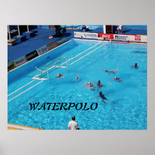POSTER CHAMPIONNAT ROME 2009 DU MONDE DE NATATION