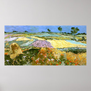 Poster Champs de blé près d'Auvers Van Gogh