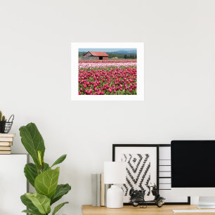 Poster Champs de Tulipes Roses Photographie Florale
