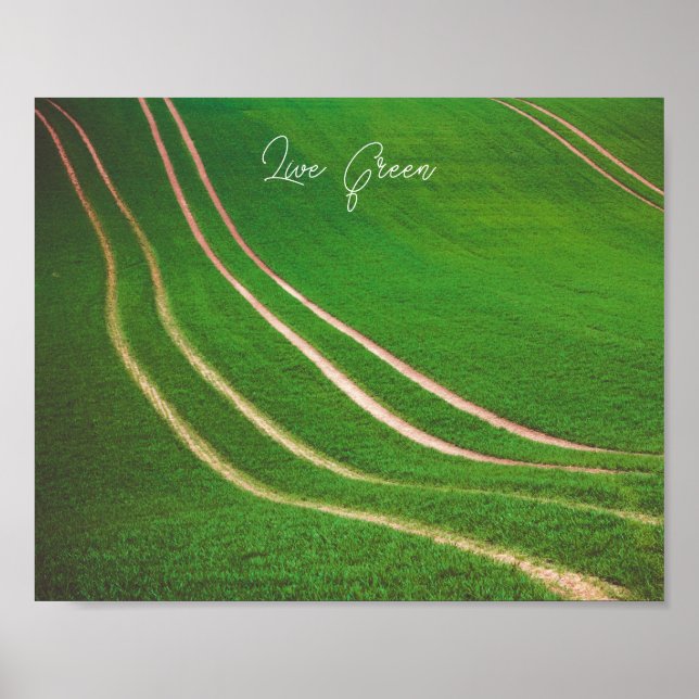 Poster Champs verts (Devant)