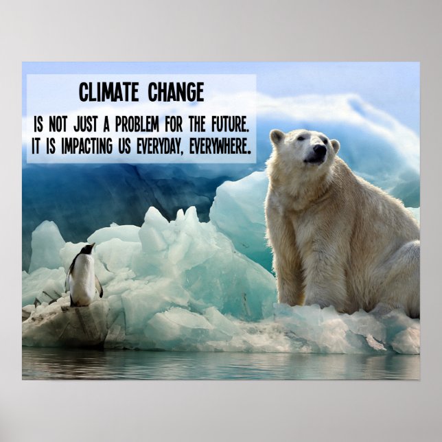 Poster Changement climatique avec le pingouin et l'ours p (Devant)