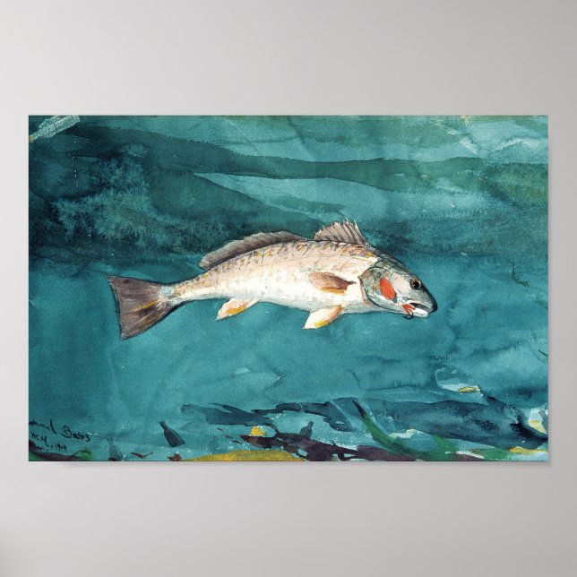 Poster Channel Bass Peinture américaine par Homer (Devant)