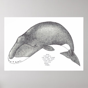 Poster chansons de baleine