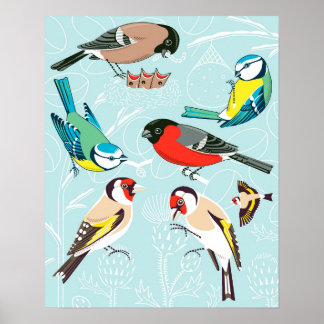Poster Chanter des oiseaux
