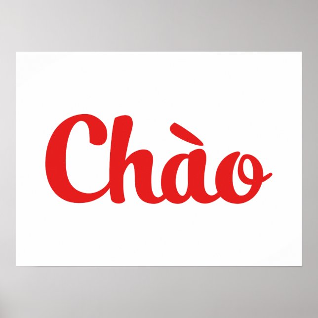 Poster Chào / Hello ~ Vietnam / Vietnamien / Tiêt Viêt (Devant)