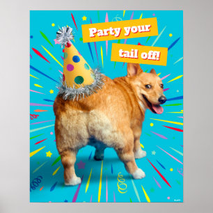 Poster Chapeau d'anniversaire Corgi Butt