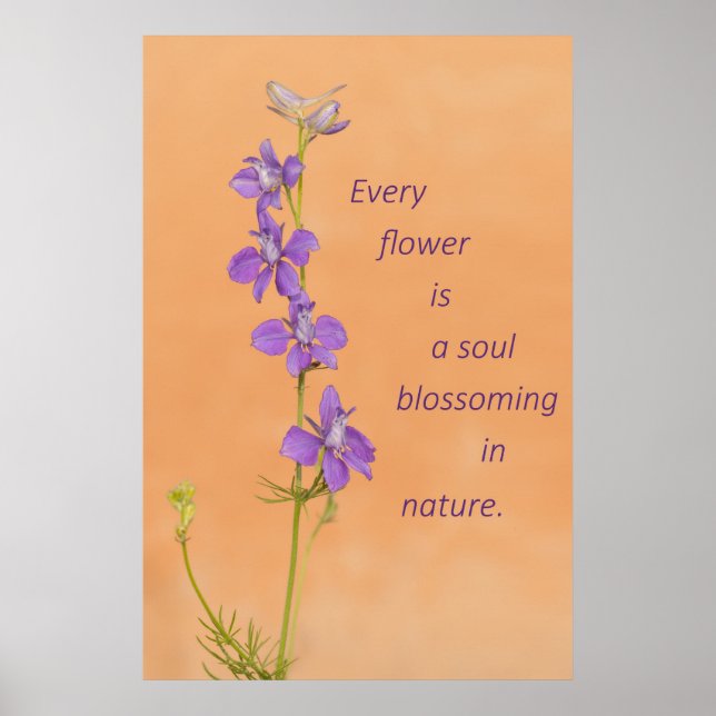Poster Chaque Fleur (Devant)