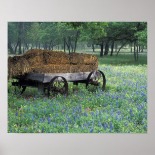 Poster chariot ancien dans