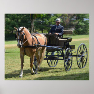 Poster Chariot de colline de noix conduisant le concours