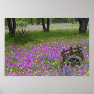 Poster Chariot en bois dans un champ de Phlox, Blue Bonne