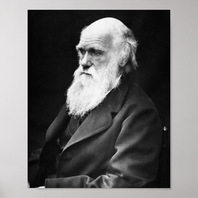 Poster Charles Darwin (Devant)