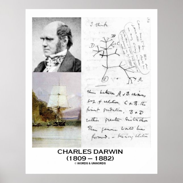 Poster Charles Darwin Collage HMS Beagle Evolution (Devant)