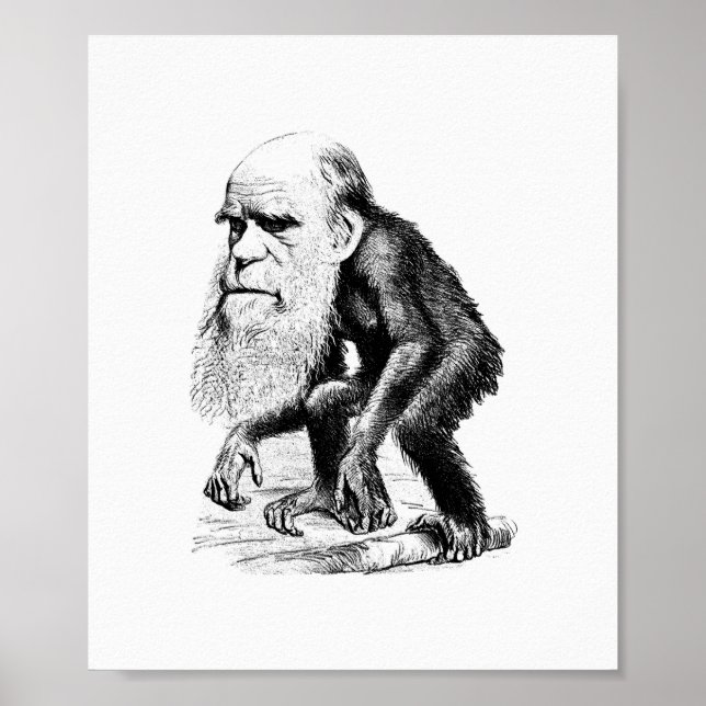 Poster Charles Darwin Comme Un Ape (Devant)