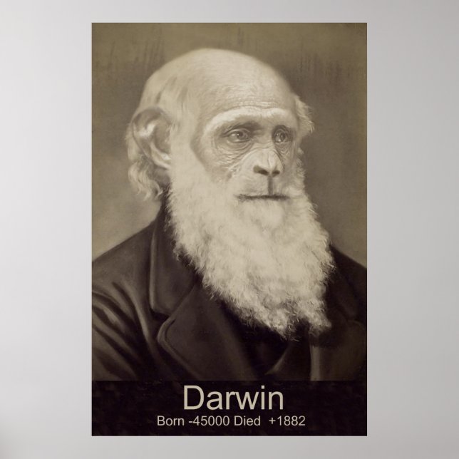 Poster Charles Darwin La descente de Man Darwin Portrait (Devant)