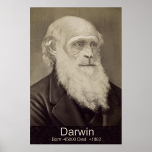 Poster Charles Darwin la descente du portrait de Darwin