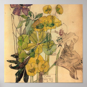 Poster Charles Rennie Mackintosh - Spurge With Yham 1909