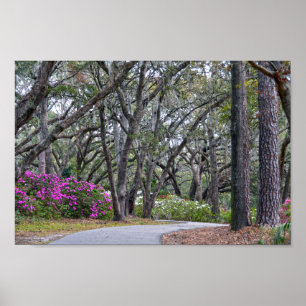 Poster Charles Town Landing Path, Caroline du Sud
