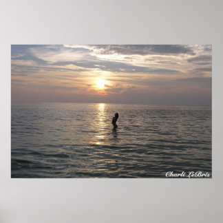 Poster Charli sur la plage